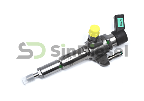 Injector 9674973080 Siemens