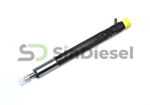 Injector EJBR04901D Delphi F23