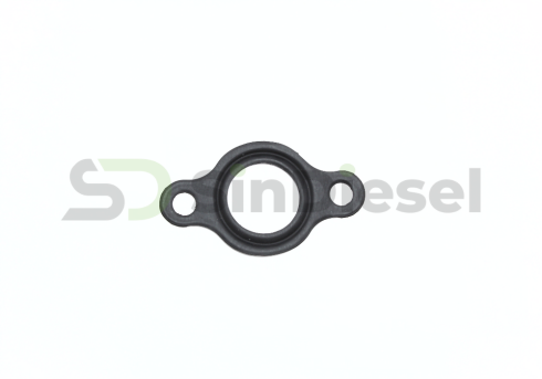 Gasket HPFP F00R0P1466 OMS