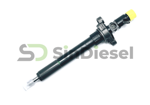 Injector EJBR03801D Delphi F25