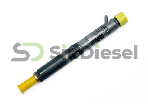 Injector EJBR03101D Delphi F14